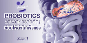 โพรไบโอติกส์ (Probiotics) สารอาหารสำคัญ ช่วยให้ลำไส้แข็งแรง